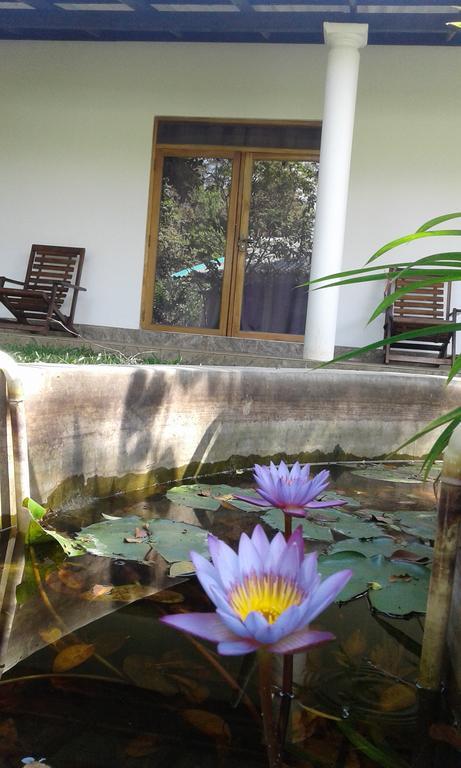 River Retreat Sigiriya Exterior foto